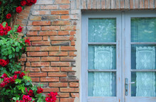 Blooming Red Climbing Rose (rosaceae) On Orange And Grey Brick Wall With Charming Traditional Blue Painted Glass Door With Picturesque Lace Curtains