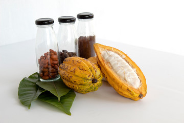 Wall Mural - fresh cocoa with seed and leaves on whith background