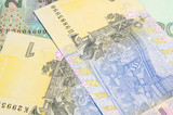 Fototapeta  - Ukrainian money. One and twenty hryvnia. Cash. Uah.