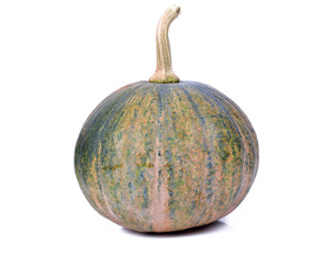 Poster - pumpkin isolated on the white background