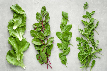 Wall Mural - Fresh green salad, leaves of beets, spinach, lettuce and arugula. Vegetarian diet, healthy food concept.
