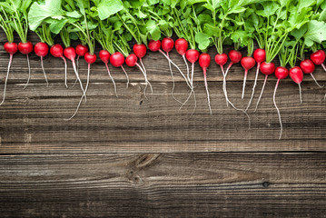 Wall Mural - Garden radish. Freshly harvested vegetables. Fresh organic vegetable on farmer market.