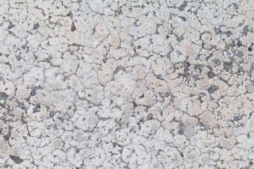 Concrete texture or cement wall texture abstract background