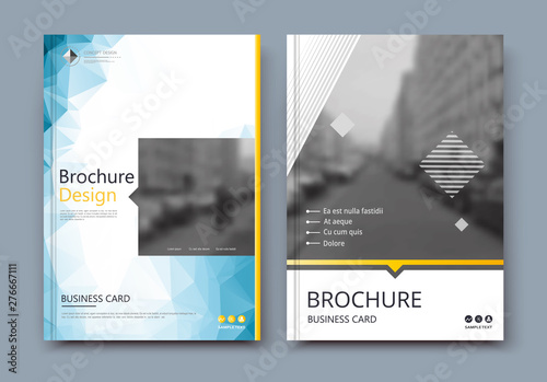 Abstract Low Poly White Brochure Cover Design Info Banner Frame