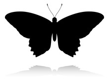 An Animal Silhouette Of A Butterfly