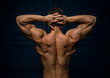 © Andrei vishnyakov - Male back