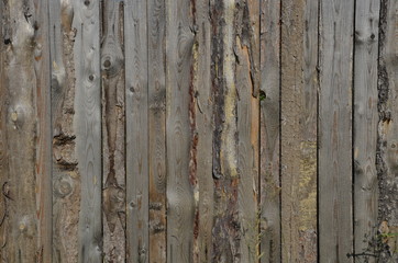 Wall Mural - Wooden fence. Background old wooden fence. Tree.