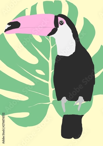 toucan