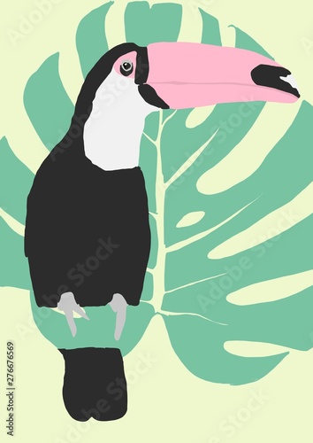 tropical bird background