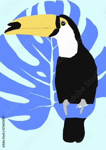 illustration of a toucan. Blue background jungle