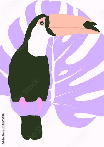 tropical bird background illustration