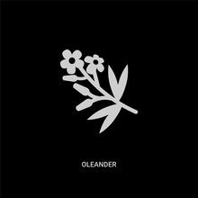 White Oleander Vector Icon On Black Background. Modern Flat Oleander From Nature Concept Vector Sign Symbol Can Be Use For Web, Mobile And Logo.