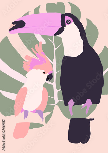 Tropical birds. Background parrot