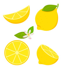 Set of isolated lemon in cartoon style with flowering. Vector illustration on white background.