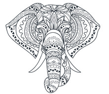 Indian Elephant In Style Mihendi On A White Background