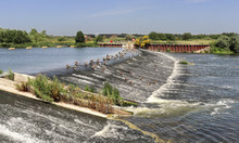Canada Geese Feeding On A Weir On The Jubilee River In England