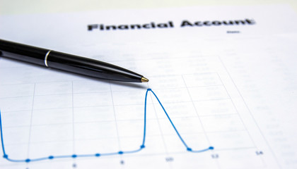 accounting, annual accounting report, financial documentation.