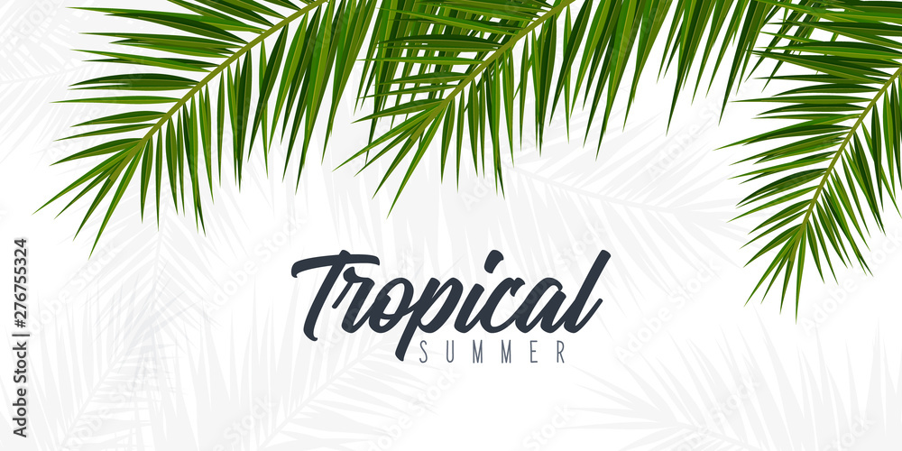 Summer Tropical palm leaves. Exotic palms tree. Floral Background. - obrazy, fototapety, plakaty 