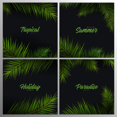 Wall Mural - Set of Summer Tropical palm leaves. Exotic palms tree. Dark Floral Backgrounds.