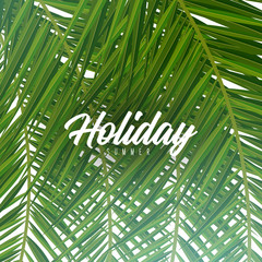 Wall Mural - Summer Tropical palm leaves. Exotic palms tree. Floral Background.