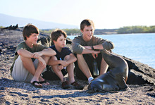 Three Brothers On Vacation In The Galapagos Islands Enjoy A Moment With A Seal On The Beach. 