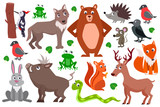 Fototapeta Pokój dzieciecy - Set of cute cartoon forest animals. vector flat illustration.