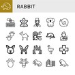 © Natalia - Set of rabbit icons such as Hedgehog, Keylogger, Animal, Magician, Koala, Snail, Camel, Sheep farm, Animal testing, Bunny, Rabbit, Zoo, Ostrich, Veterinary, Hand puppet , rabbit