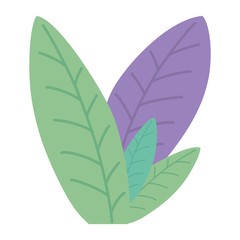  Isolated leaves design vector illustrator