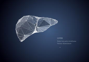 Liver organ. Low poly wireframe style. Technology in medicine. Abstract illustration isolated on dark background. Particles are connected in a geometric silhouette