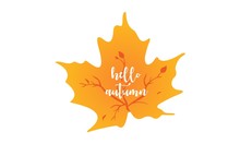 Hello Autumn, Leaf Maple Logo 