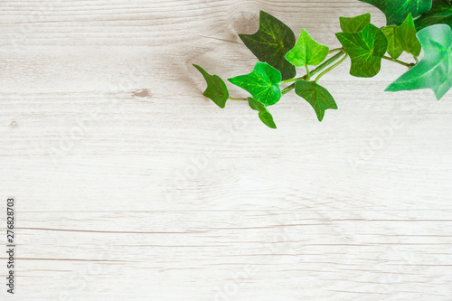 Green Plant And Wood Grain Background Material 緑の植物と木目の背景素材 Stock Photo Adobe Stock