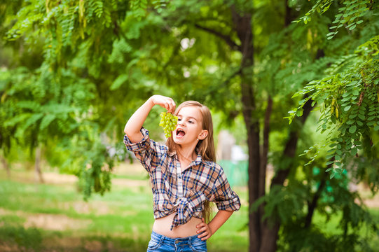 girl in a plaid shirt and jeans holding a bunch of green grapes close-up. concept of harvesting a pl