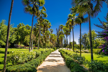 Beautiful park at winery Vina Undurraga in Talagante, central Chile.