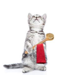 Poster - Funny kitten holding towel and bath brush and looking up. isolated on white background