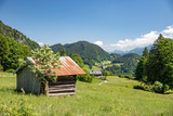 Fototapeta  - Bavarian Alps