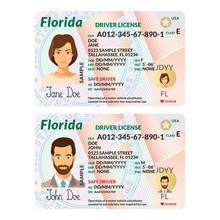 Vector Template Of Sample Driver License Plastic Card For USA Florida