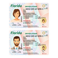 Vector template of sample driver license plastic card for USA