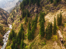 From Above Green Trees Growing On Shores Of Fast Stream On Sunny Day In Indian Himalayas Close To Manali, Himachal Pradesh