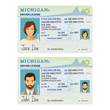 Vector template of sample driver license plastic card for USA Michigan