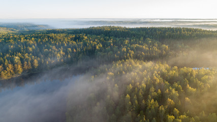 Plakat natura finlandia dolina ruch drzewa