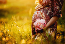 Pregnant Woman Holding Her Belly And Flower In The Garden.