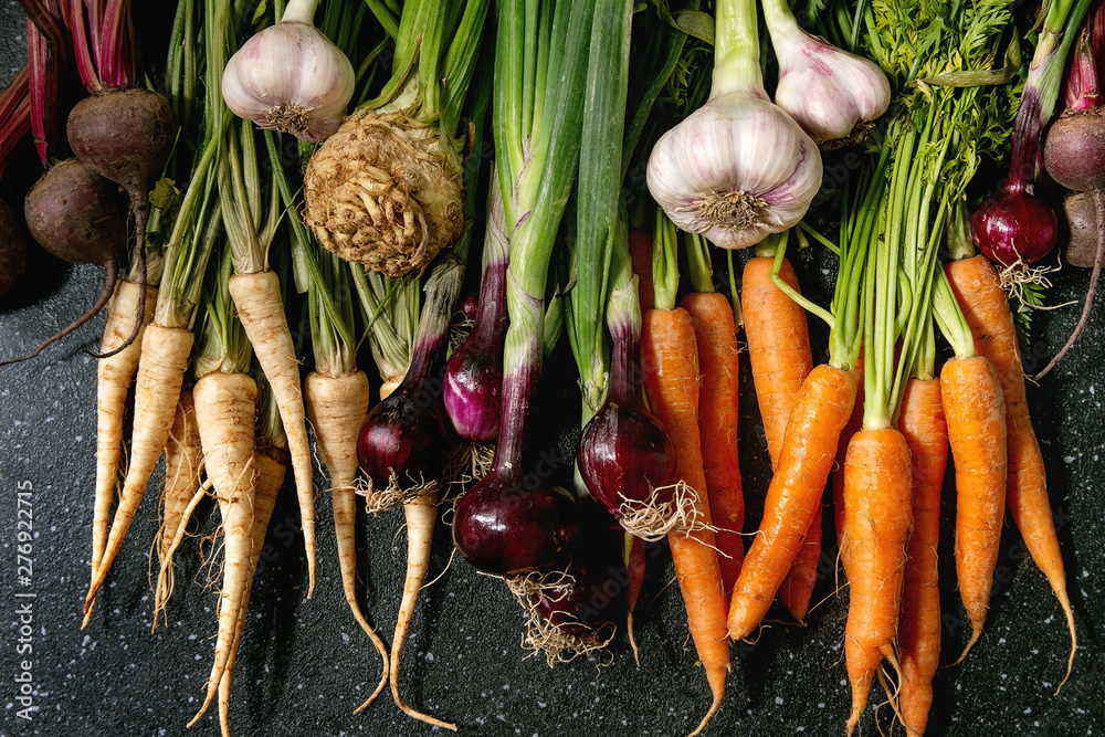 Variety of root garden vegetables carrot, garlic, purple onion, beetroot, parsnip and celery with tops over black texture background. Flat lay, space - obrazy, fototapety, plakaty 