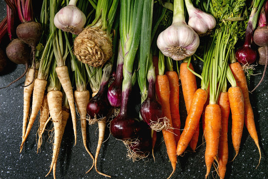 variety of root garden vegetables carrot, garlic, purple onion, beetroot, parsnip and celery with to