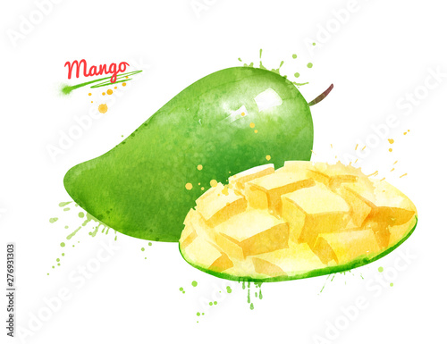 Fotomural Watercolor illustration of green mango