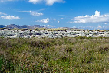 Poster - Dünen an der Küste von Kos, Griechenland (im Hintergrund die Insel Pserimos) - Dunes on Kos, Grecce