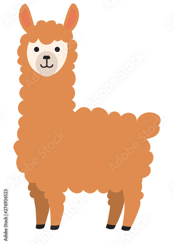 1 916 Cute Wildlife Smile Lama Wall Murals Canvas Prints Stickers Wallsheaven