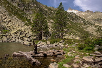 Wall Mural - Landscape of Les Laquettes lake. Circular route of the lakes in the Nature Reserve of Neouville in France, Hautes Pyrinees.