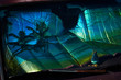 © Pascal Shirley - Sunshade on car windshield