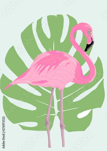 Flamingo