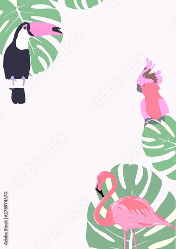 Tropical birds template. Background birds